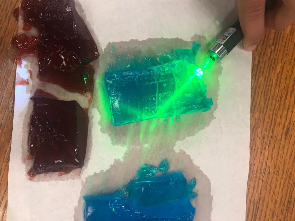 Girl's Science Day